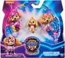 Figuur Mighty Figures Paw Patrol koer Skye roosa kutsikas цена и информация | Mänguasjad poistele | hansapost.ee