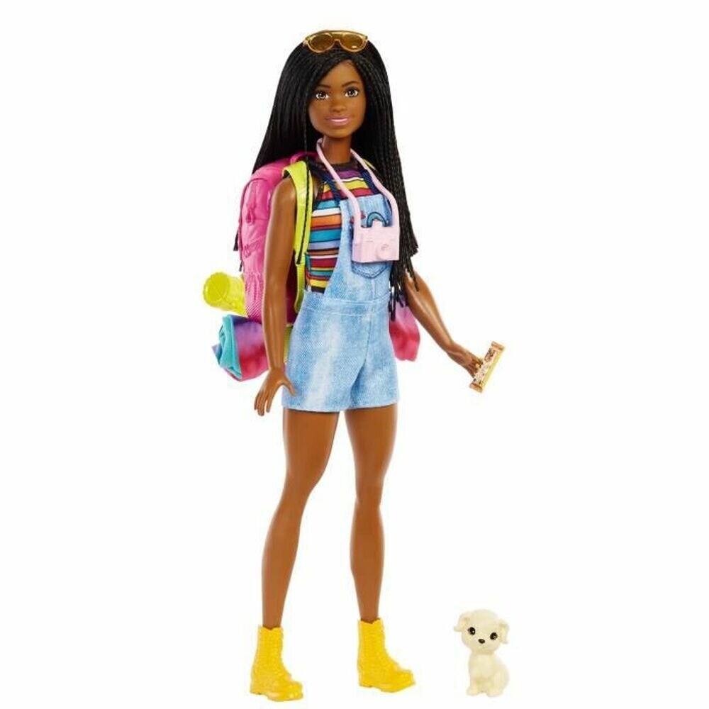 Nukk Barbie Brooklyn Camping цена и информация | Mänguasjad tüdrukutele | hansapost.ee