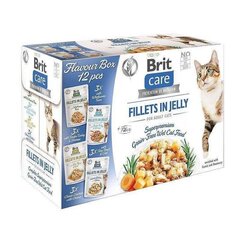 Brit Care täiskasvanud kassidele kalkuni, forelli, kana ja tuunikalaga, 12x85 g hind ja info | Kassikonservid | hansapost.ee