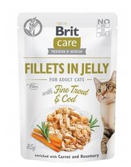 Brit Care täiskasvanud kassidele kana ja forelliga, 24x85 g hind ja info | Brit Care Kassid | hansapost.ee