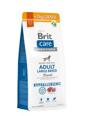 Brit Care Hypoallergenic Adult Lamb&Rice для взрослых собак с бараниной и рисом, 12+2кг цена и информация | Сухой корм для собак | hansapost.ee