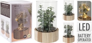Светящееся декоративное растение в стекле цена и информация | Декорации | hansapost.ee