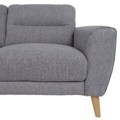 Corner sofa DANTE LC, hall цена и информация | Угловые диваны | hansapost.ee