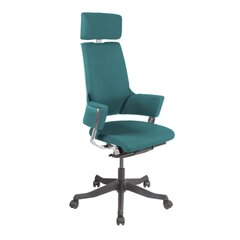 Kontoritool Delphi, sinakasroheline price and information | Office chairs | hansapost.ee