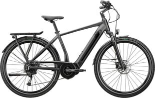 Электрический велосипед GZR Forzar-e 2023, 49 см, серый цвет цена и информация | Электровелосипеды | hansapost.ee