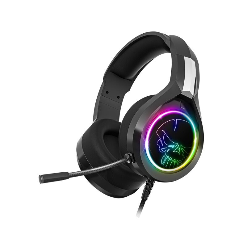 Spirit Of Gamer PRO-H8 RGB Black цена и информация | Kõrvaklapid | hansapost.ee