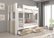Narivoodi Adrk Furniture Arta, 90x200 cm, valge/pruun цена и информация | Lastevoodid | hansapost.ee