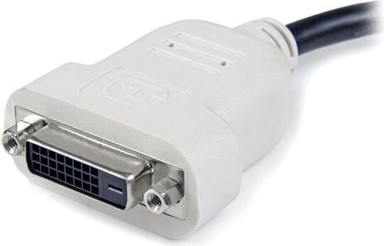 StarTech, DP2DVI DisplayPort - DVI-D, 0.2 m цена и информация | Juhtmed ja kaablid | hansapost.ee