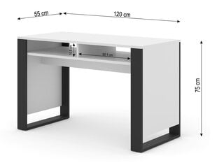 Письменный стол Mondi, 120x55x75 см, белый цена и информация | Компьютерные, письменные столы | hansapost.ee