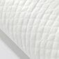 Ühekordsed matid koertele Purlov 60x60 cm, 100 tk цена и информация | Hooldus/grooming | hansapost.ee