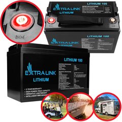 Аккумулятор Extralink LiFePO4 100Ач 12,8В, BMS цена и информация | Аккумуляторы | hansapost.ee
