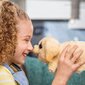 Interaktiivne komplekt Little Live Pets Kutsikamaja цена и информация | Mänguasjad tüdrukutele | hansapost.ee