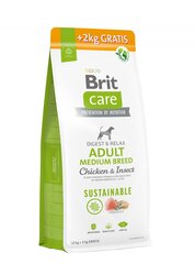 Brit Care Adult для взрослых собак средних пород с курицей и насекомыми, 12+2 кг цена и информация | Сухой корм для собак | hansapost.ee