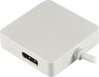 Deltaco DP-MULTI1, Mini DP/DVI/HDMI/DP, 0.2 m цена и информация | USB adapterid ja jagajad | hansapost.ee