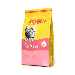 Josera JosiCat для котят и беременных кошек с птицей, 1,9 кг цена и информация | Сухой корм для кошек | hansapost.ee