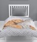 Detexpol voodikate Kitten & Boy, 170x210 cm цена и информация | Pleedid, voodikatted ja päevatekid | hansapost.ee
