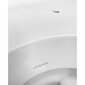 Seinale kinnitatav WC-pott Sphinx 420, ilma kaaneta hind ja info | WС-potid | hansapost.ee