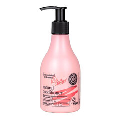 Juuksepalsam Hair Evolution Brightness & Color Protection Hair Conditioner, 245ml hind ja info | Palsamid | hansapost.ee