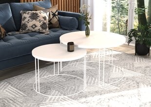 Комплект кофейных столиков ADRK Furniture Etta, белый цвет цена и информация | Журнальные столики | hansapost.ee