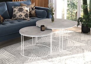 Комплект кофейных столиков ADRK Furniture Etta, серый/белый цвет цена и информация | Журнальные столики | hansapost.ee