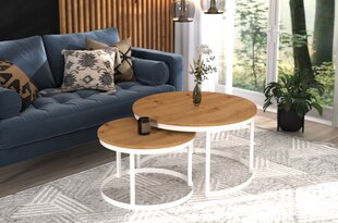 Комплект кофейных столиков ADRK Furniture Okin, коричневый/белый цвет цена и информация | Журнальные столики | hansapost.ee