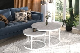 Комплект кофейных столиков ADRK Furniture Okin, серый/белый цвет цена и информация | Журнальные столики | hansapost.ee