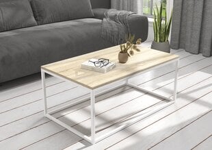 Журнальный столик ADRK Furniture Narisa 100х60 см, светло-коричневый/белый цвет цена и информация | Журнальные столики | hansapost.ee