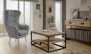 Комплект мебели для гостиной Eltap Marlo + Arti, серый/коричневый цвет цена и информация | Кресла | hansapost.ee