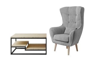 Комплект мебели для гостиной Eltap Marlo + Arti, серый/коричневый цвет цена и информация | Кресла | hansapost.ee