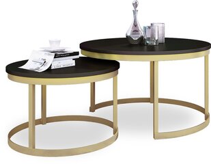 Diivanilaua komplekt Adrk Furniture Okin, must/kuldne hind ja info | Diivanilauad | hansapost.ee