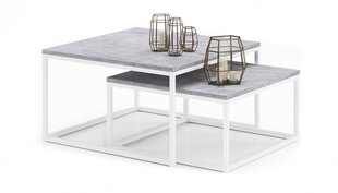 Комплект кофейных столиков ADRK Furniture Kama, серый/белый цвет цена и информация | Журнальные столики | hansapost.ee