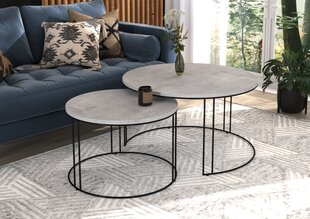 Комплект кофейных столиков ADRK Furniture Etta, серый/черный цвет цена и информация | Журнальные столики | hansapost.ee