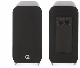 Q Acoustics Q3060S hind ja info | Ribakõlarid ja koduaudio süsteemid | hansapost.ee