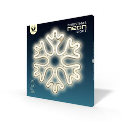 Neoon Led jõululumehelves, valge, Patareid + USB FLNE20 hind ja info | Forever Light Mööbel ja sisustuskaubad | hansapost.ee