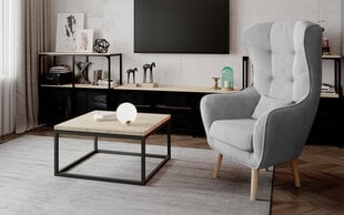 Комплект мебели для гостиной Eltap Moss+ Arti, коричневый/серый цена и информация | Кресла | hansapost.ee