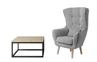 Комплект мебели для гостиной Eltap Moss+ Arti, коричневый/серый цена и информация | Кресла | hansapost.ee