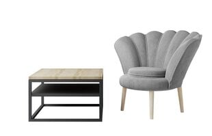 Комплект мебели для гостиной Eltap Lupe+ Vivien, коричневый/серый цвет цена и информация | Кресла | hansapost.ee