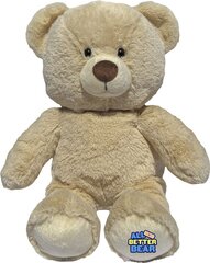 Pehme mänguasi haige karu All Better Bear цена и информация |  Мягкие игрушки | hansapost.ee