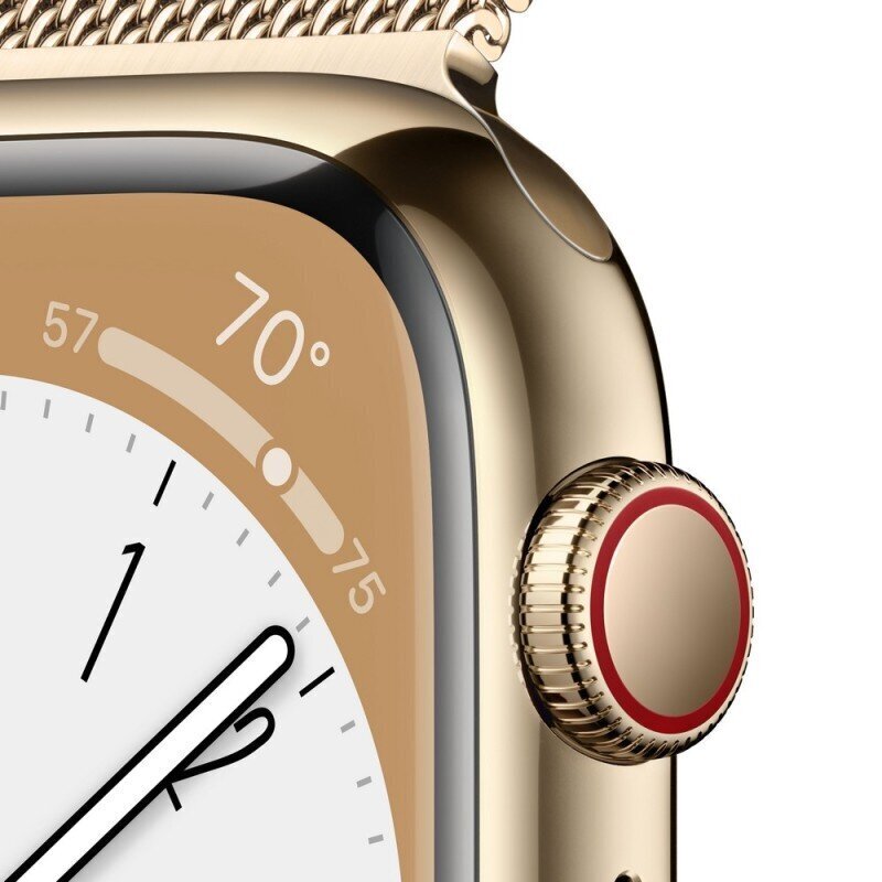 Defektiga toode. Apple Watch Series 8 GPS + Cellular 41mm Gold Stainless Steel Case ,Gold Milanese Loop MNJF3EL/A LV-EE цена и информация | Defektiga tooted | hansapost.ee