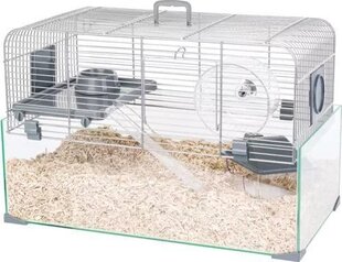 Клетка для грызунов Zolux Panas Color, 52х29х35 см, серая цена и информация | Клетки и аксессуары для грызунов | hansapost.ee
