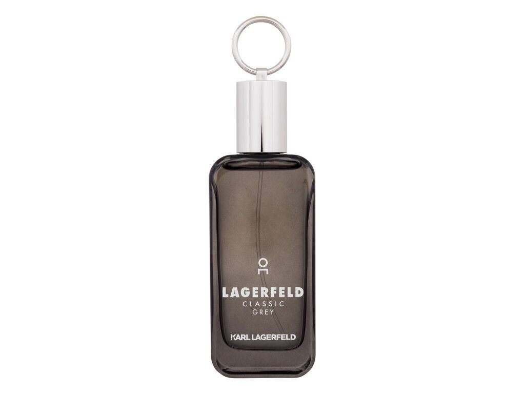 Tualettvesi meestele Karl Lagerfeld Classic Grey EDT, 50 ml цена и информация | Parfüümid meestele | hansapost.ee