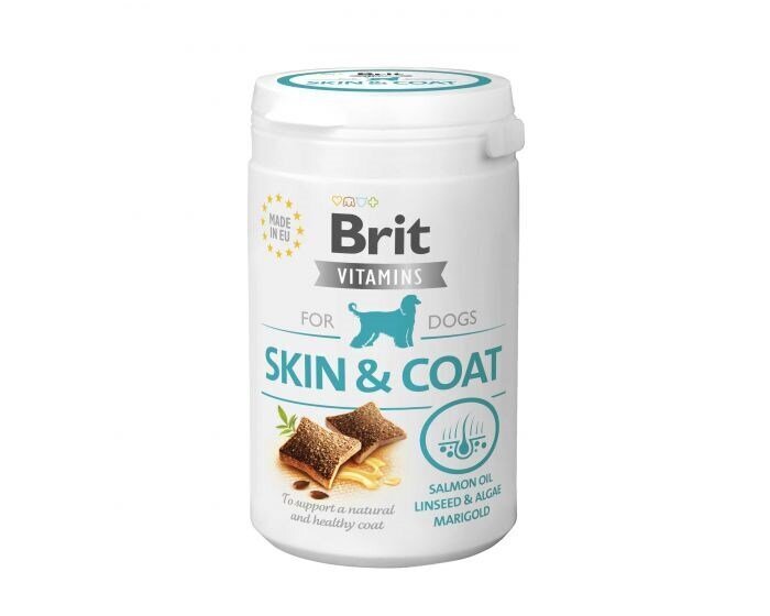 Brit lisand koos vitamiinidega koertele Vitamins Skin&Coat, 150 g цена и информация | Vitamiinid ja parasiiditõrje | hansapost.ee