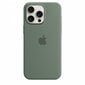 Apple Silicone Case MagSafe MT1X3ZM/A Cypress цена и информация | Telefonide kaitsekaaned ja -ümbrised | hansapost.ee