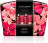 Kinkekomplekt naistele Baylis & Harding Boudiore Cherry Blossom Luxury Wash, 4-osaline цена и информация | Dušigeelid, õlid | hansapost.ee