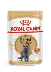 Royal Canin British Shorthair täiskasvanud Briti lühikarvalistele kassidele, 12x85g hind ja info | Kassikonservid | hansapost.ee