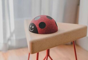 Развивающая игрушка Elou Ladybug цена и информация | Игрушки для малышей | hansapost.ee