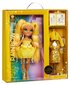 Nukk Rainbow High dolls Fantastic Fashion, kollane, 33 cm цена и информация | Mänguasjad tüdrukutele | hansapost.ee