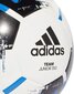 Jalgpalli pall Adidas, 4 hind ja info | Jalgpalli pallid | hansapost.ee