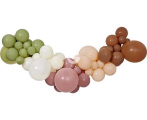 Гирлянда из воздушных шаров, шары цвета бохо цена и информация | Шары | hansapost.ee