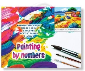 Acrylic paints price and information | Paint by numbers kits | hansapost.ee